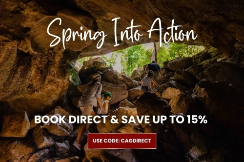 Spring Into Action